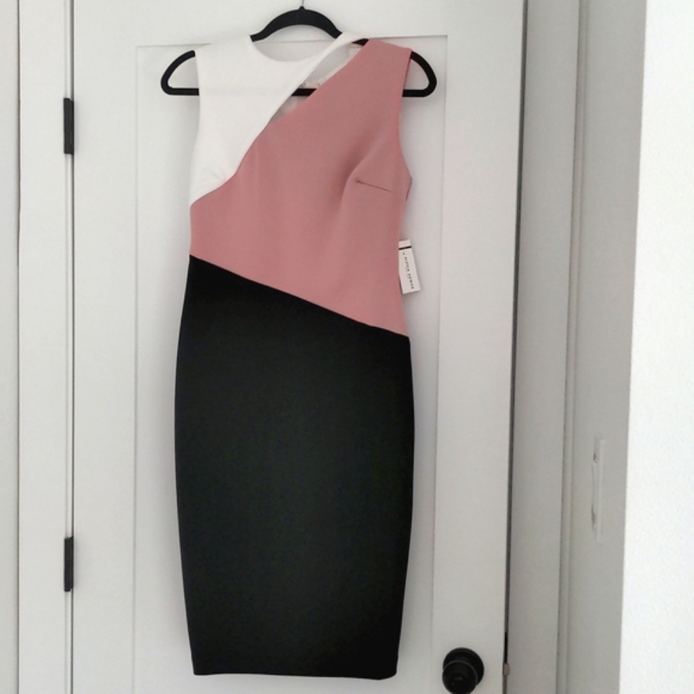 Alexia Admor Sleeveless Cut Out Neckline Color Block Scuba Knit Dress NWT Size S